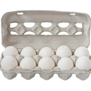 FLAT EGG [ PACK OF 12 ]